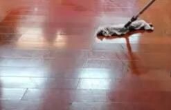 辦公區(qū)域保潔要注意哪些方面呢？