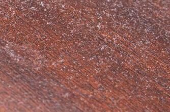 對于家里灰塵的清理，有什么方法嗎？