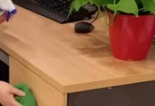 辦公區(qū)域保潔要做哪些呢？