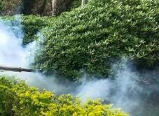 四害消殺完成后，需要做哪些鞏固工作呢？